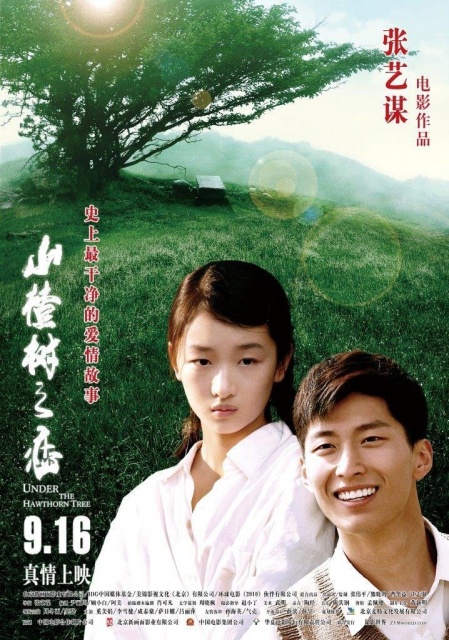 Chuyện Tình Cây Táo Gai (2010)